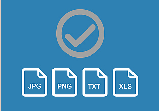 
                    Formats of output files