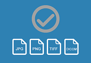 
                    File Formats